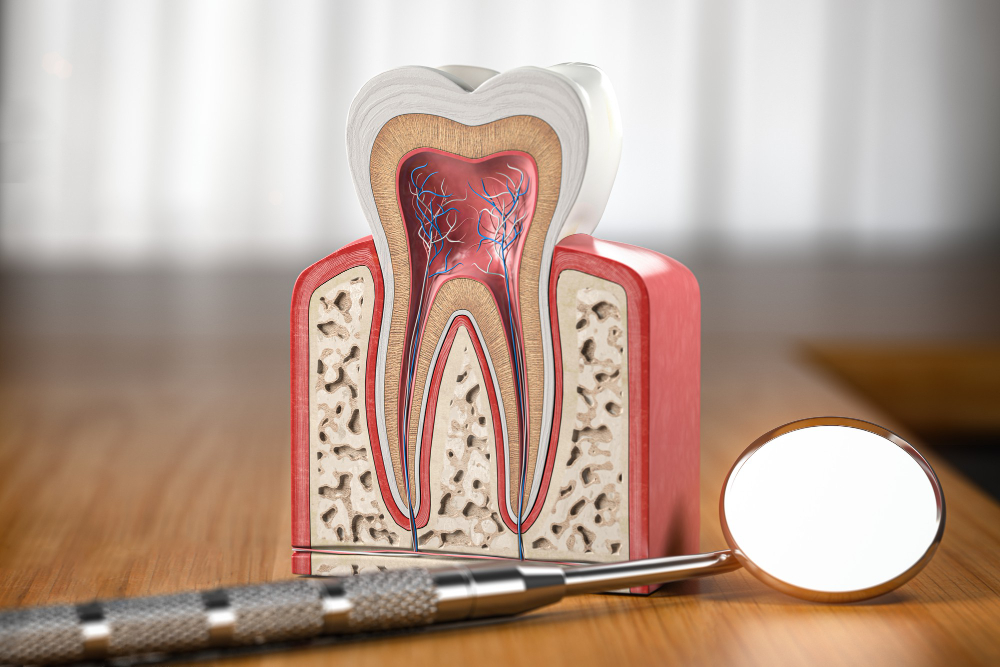 Root Canals in South Ogden